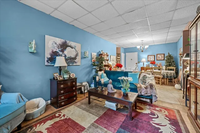 a living room with furniture and a potted plant
