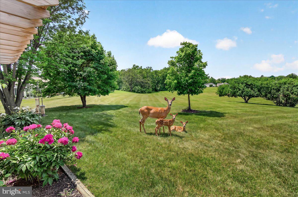 7047 Catalpa Road Frederick, MD 21703 - Photo 48 of 118
