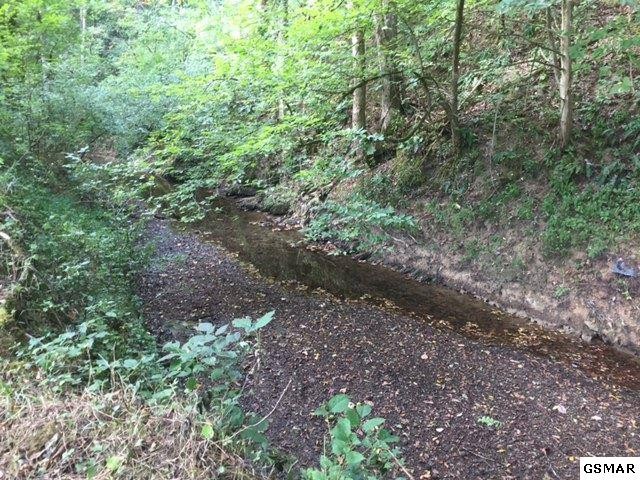 30033005 Knob Creek Road Bybee, TN 37713 - Photo 15 of 23 Gallery Image 15