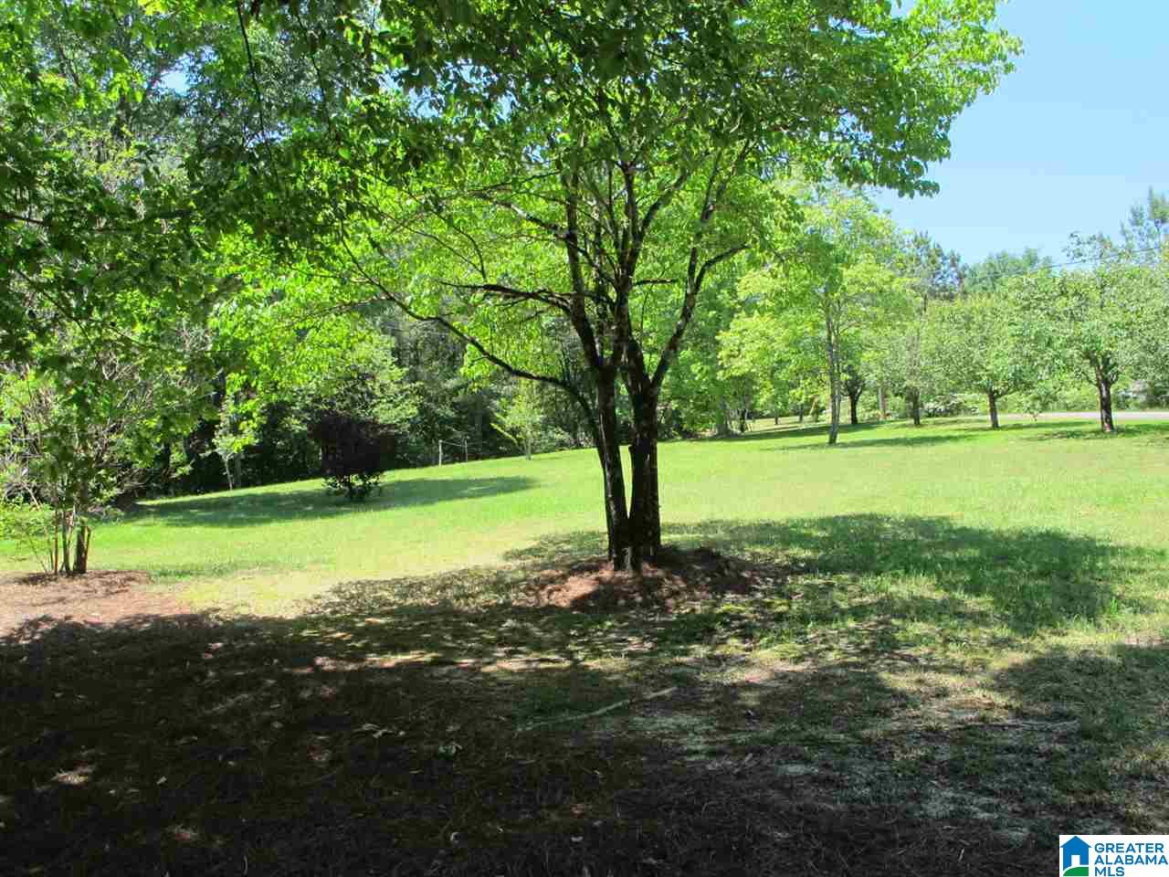 1214 Cedar Creek Road Odenville, AL 35120 - Photo 18 of 46
