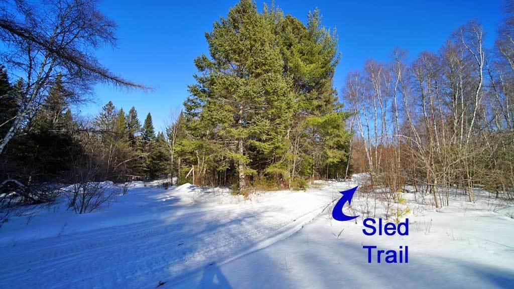 236 Calais Road Houlton, ME 04730 - Photo 9 of 30 236-calais-rd-danforth-land