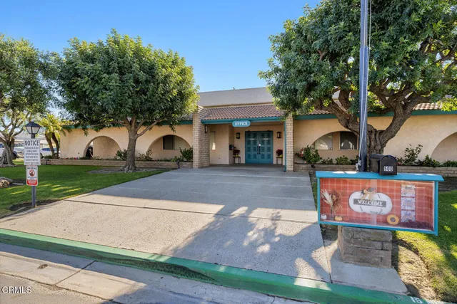 a view of a street with potted plants and large trees