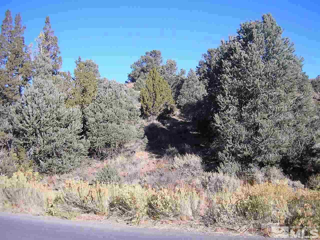 2574 Cartwright Road Reno, NV 89521 - Photo 1 of 1 a view of a yard