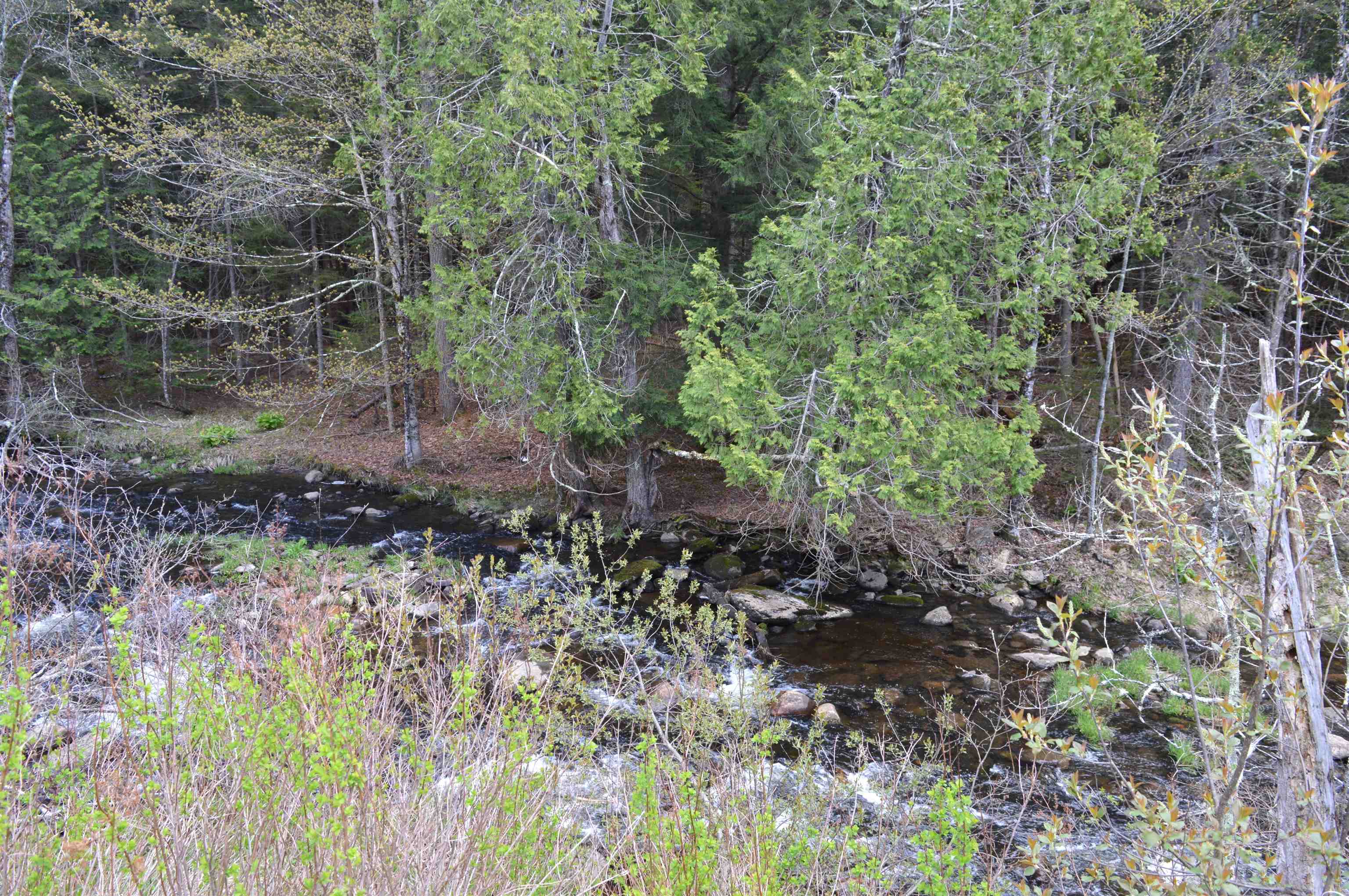 407 Cold River Road Acworth, NH 03607 - Photo 8 of 10