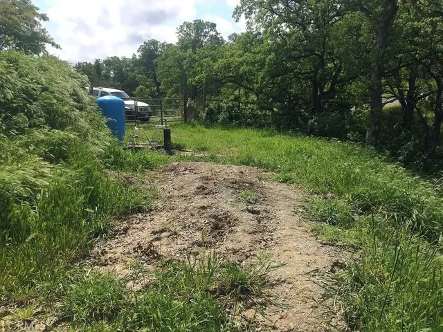 a view of a bench in a garden