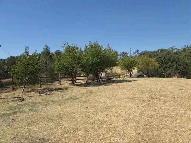 a view of a yard with trees