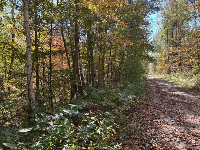 $46,900 | 12 County Road 12, Akeley, MN 56433