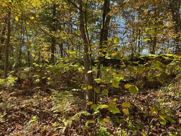 $46,900 | 12 County Road 12, Akeley, MN 56433