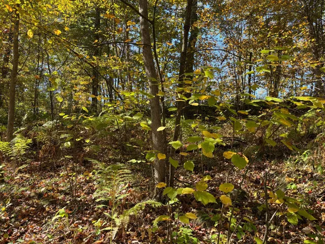 $46,900 | 12 County Road 12, Akeley, MN 56433