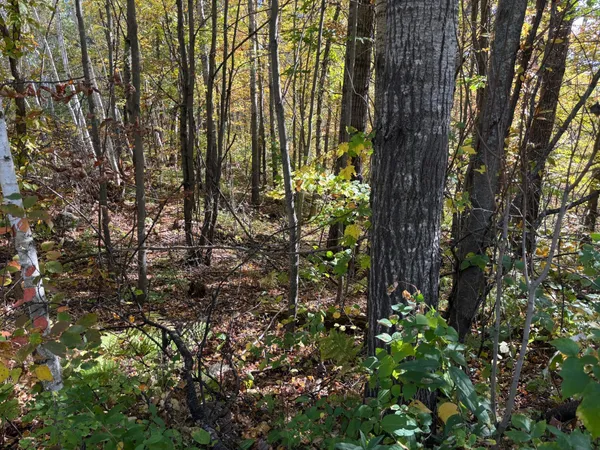 $46,900 | 12 County Road 12, Akeley, MN 56433