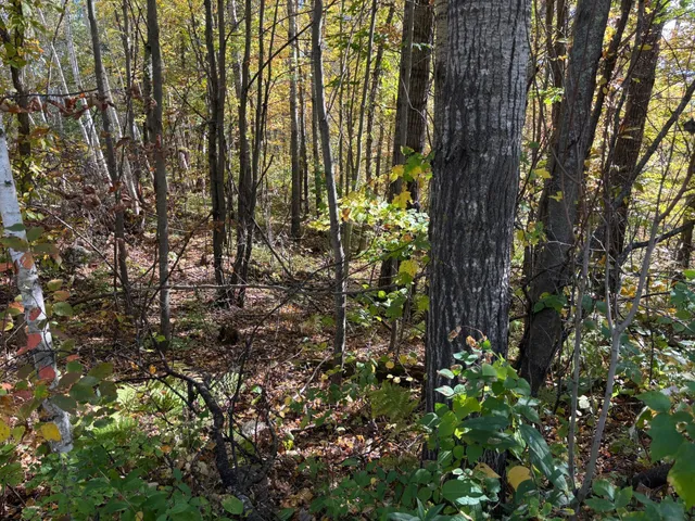 $46,900 | 12 County Road 12, Akeley, MN 56433