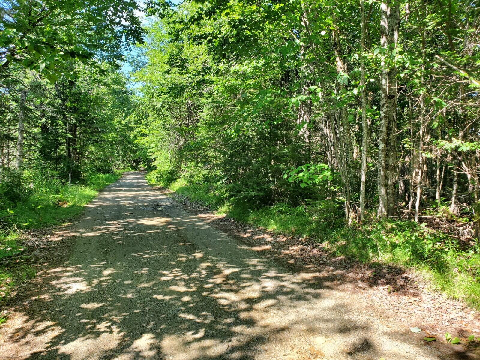 Lot 25 North Bell Field River Road Wytopitlock, ME 04497 - Photo 6 of 7 20220729_143146
