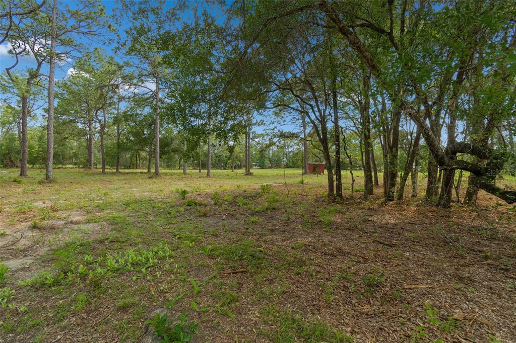 Grove Road Brooksville, FL 34613 - Photo 12 of 26