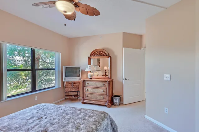 a bathroom with a shower and a toilet