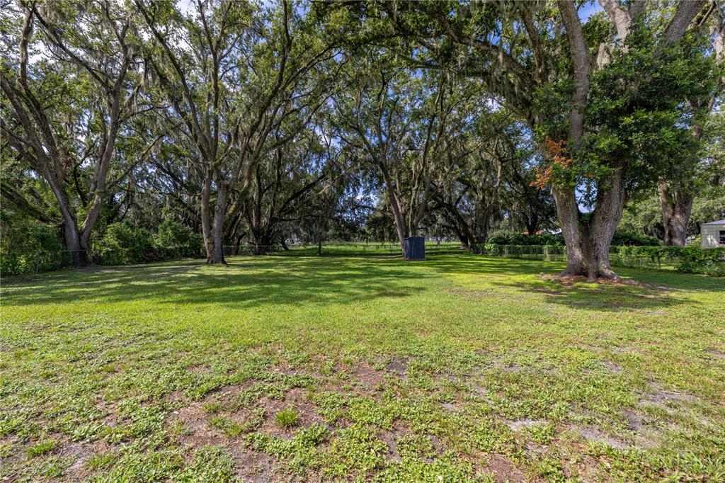 4401 West Sam Allen Road Plant City, FL 33565 - Photo 57 of 71 Gallery Image 57