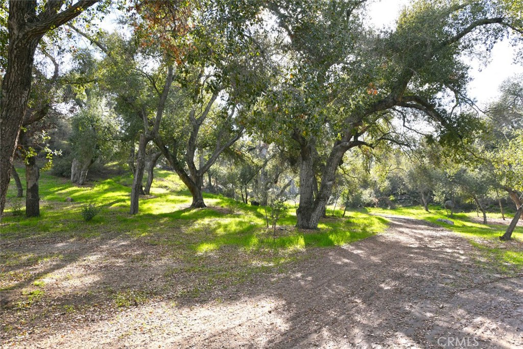 38280 Vía Majorca Murrieta, CA 92562 - Photo 31 of 75