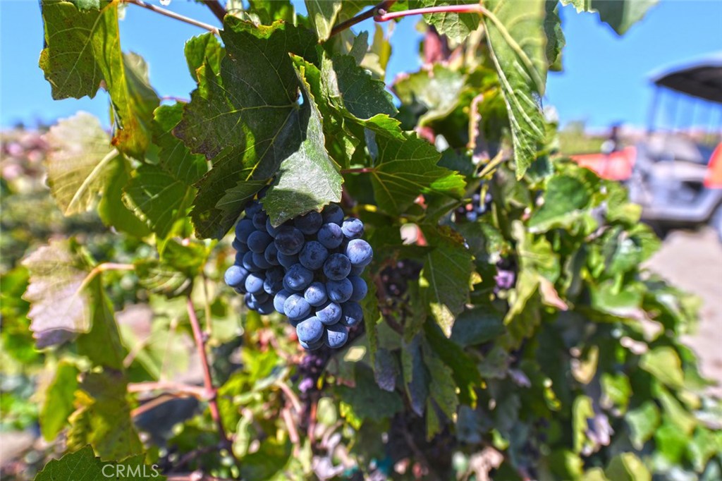 38280 Vía Majorca Murrieta, CA 92562 - Photo 37 of 75