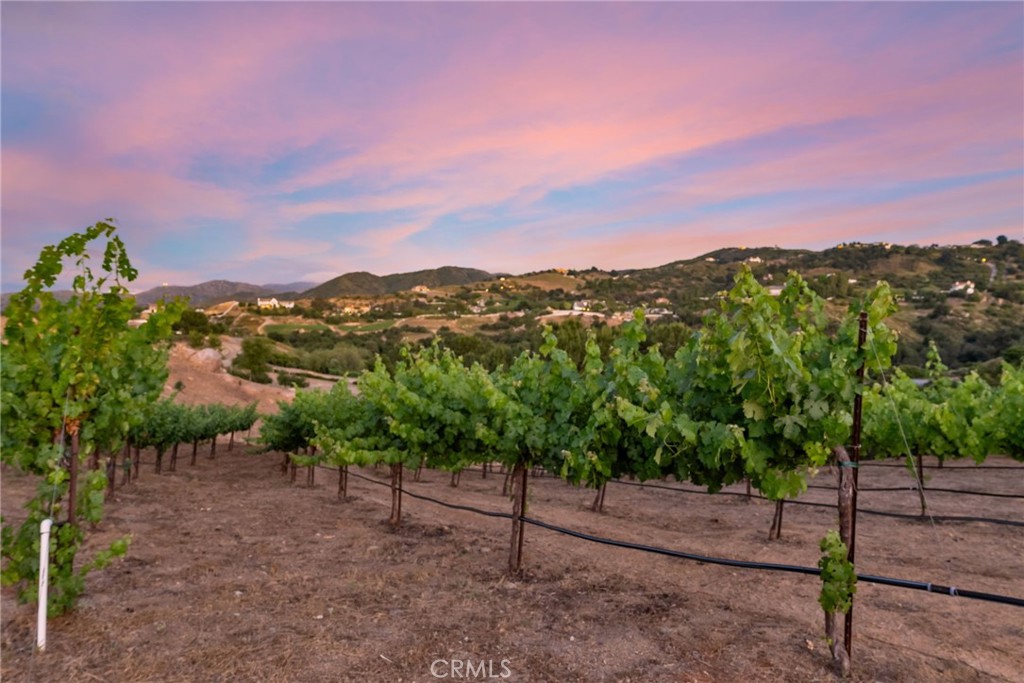 38280 Vía Majorca Murrieta, CA 92562 - Photo 38 of 75