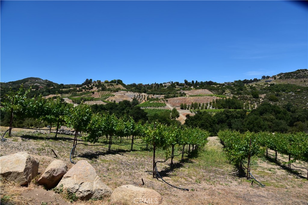 38280 Vía Majorca Murrieta, CA 92562 - Photo 39 of 75