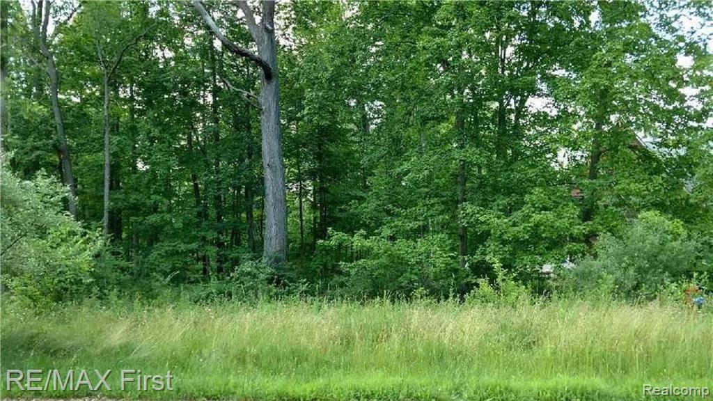 1589 Carriage Way Rochester, MI 48307 - Photo 8 of 16