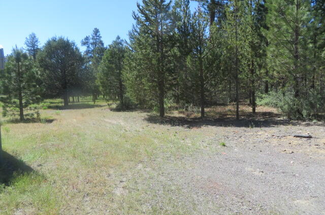 39209 9 Mile Road Chiloquin, OR 97624 - Photo 9 of 34 IMG_2620