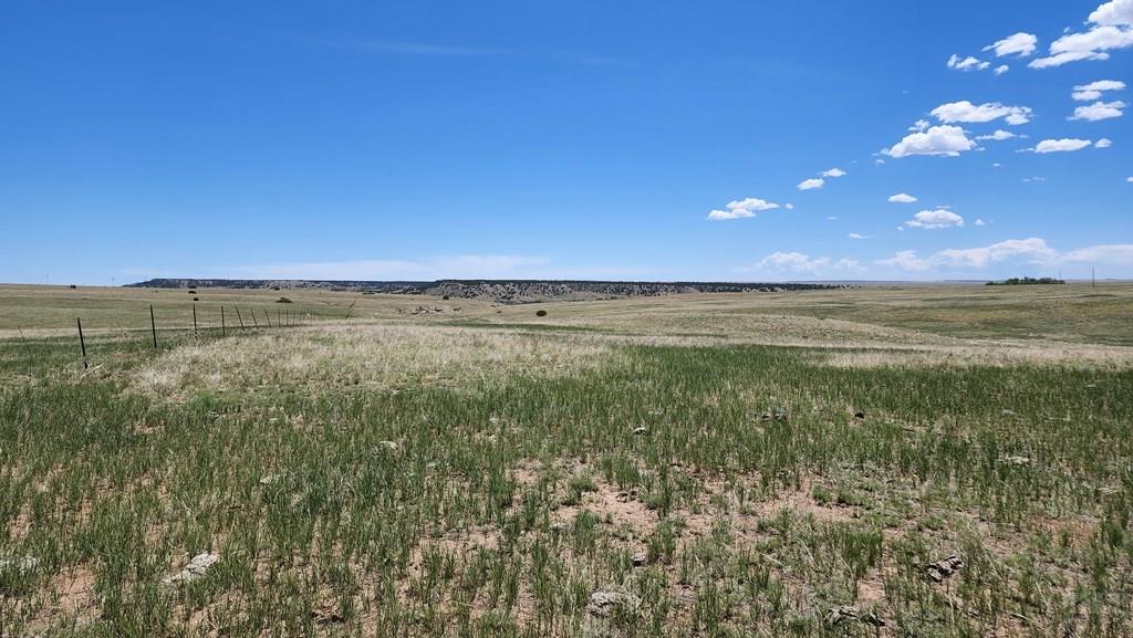 110 County Road 110 Rye, CO 81069 - Photo 2 of 37