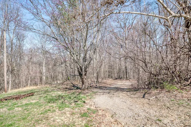 a view of wooden fence under a large tree