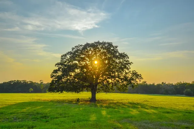 a view of an ocean view