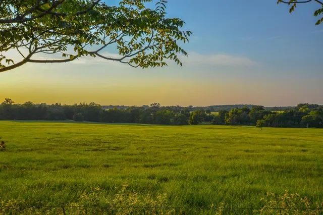 a view of a grassy field