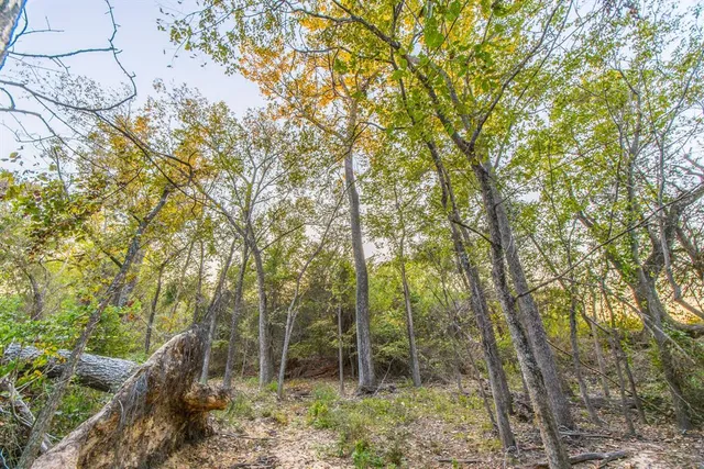 $1,950,000 | 12900 County Road 2803, Eustace, TX 75124