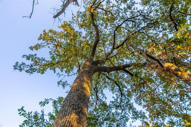 $1,950,000 | 12900 County Road 2803, Eustace, TX 75124