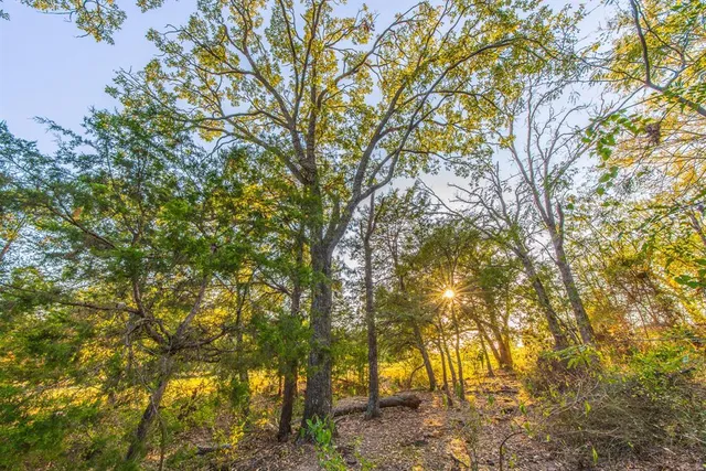 $1,950,000 | 12900 County Road 2803, Eustace, TX 75124