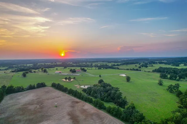 a view of a green field with clear sky