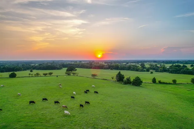 a view of a lake with a city