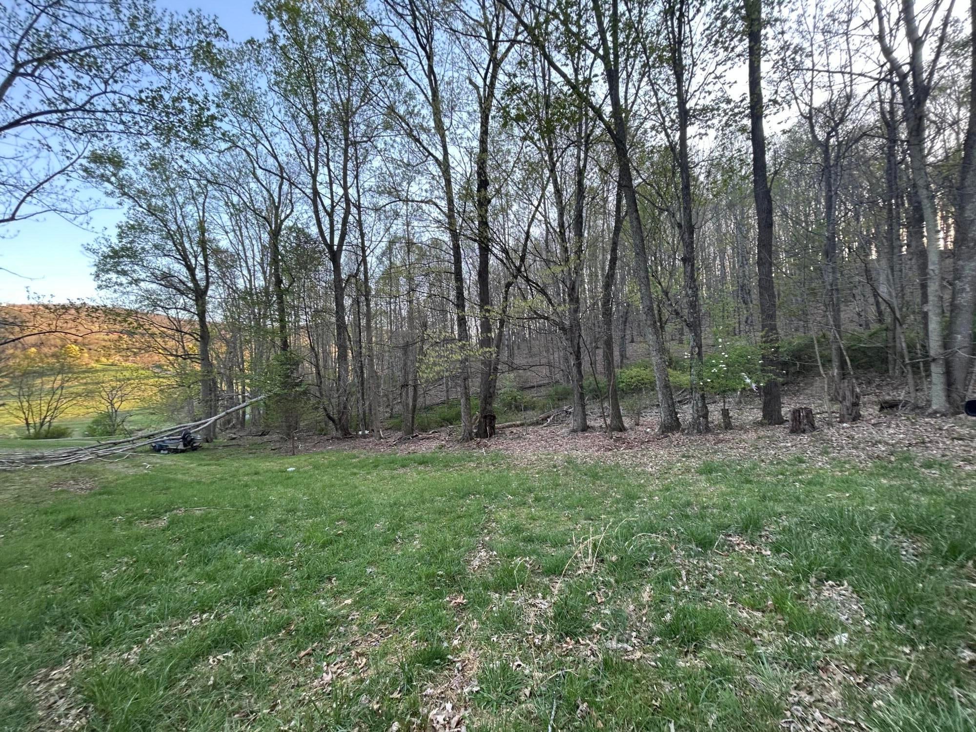 3358 Zenith Road Gap Mills, WV 24941 - Photo 64 of 72 Gallery Image 64