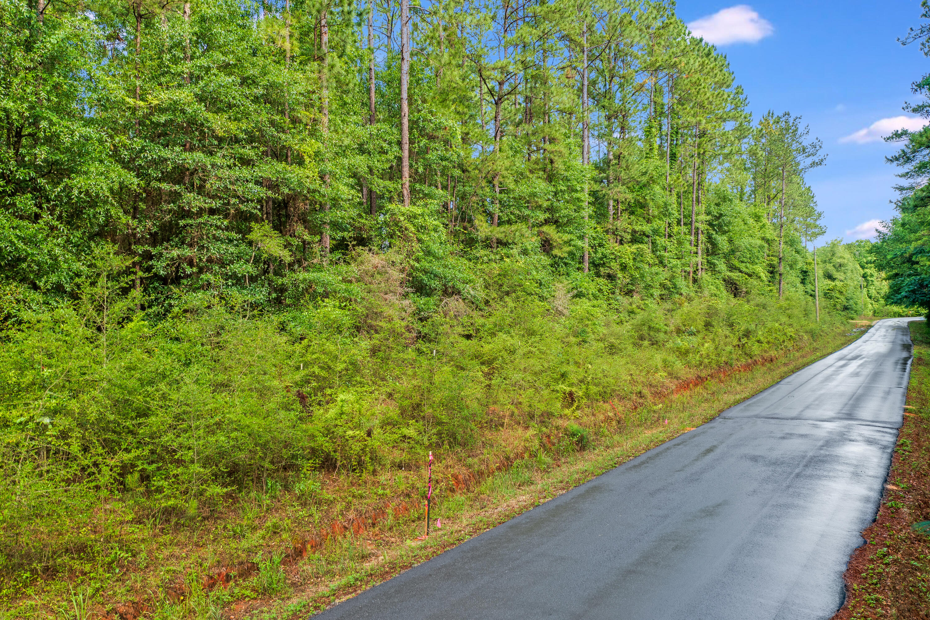 6.12-ac Clary Road Laurel Hill, FL 32567 - Photo 3 of 7 a view of a garden from a balcony