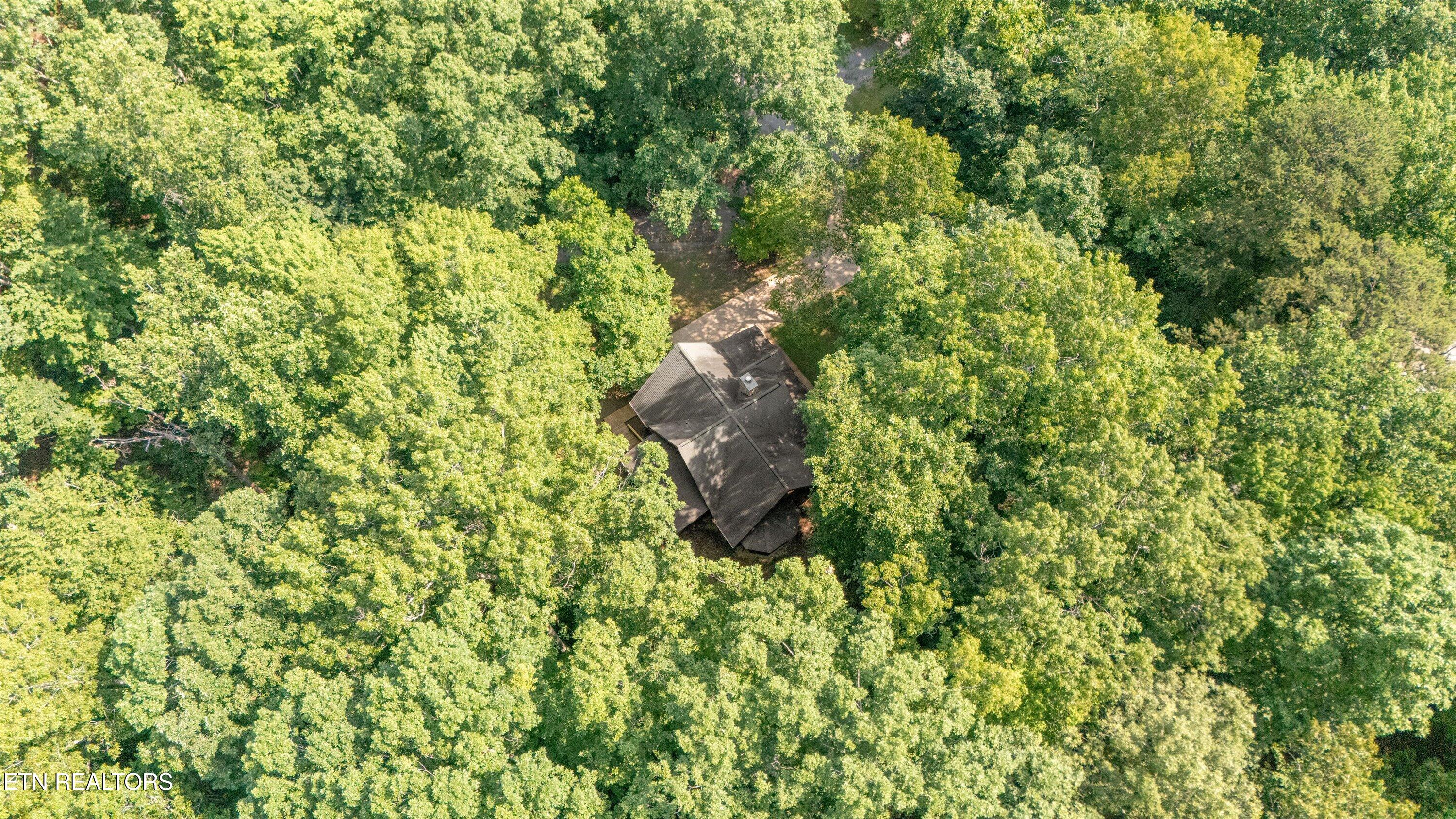120 CCC Camp Road Norris, TN 37828 - Photo 37 of 40 38-120 CCC Camp Rd-39