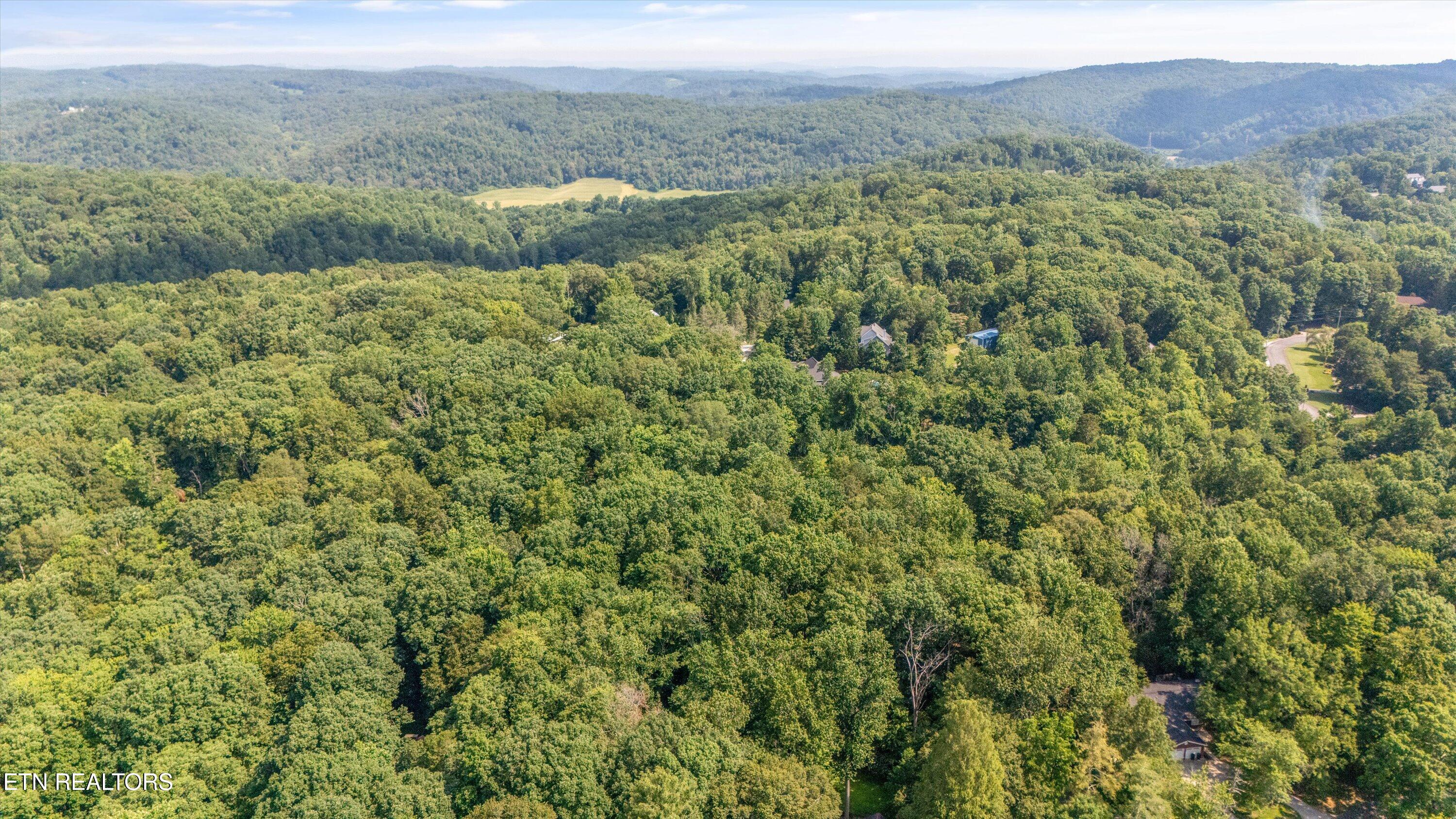 120 CCC Camp Road Norris, TN 37828 - Photo 40 of 40 41-120 CCC Camp Rd-38