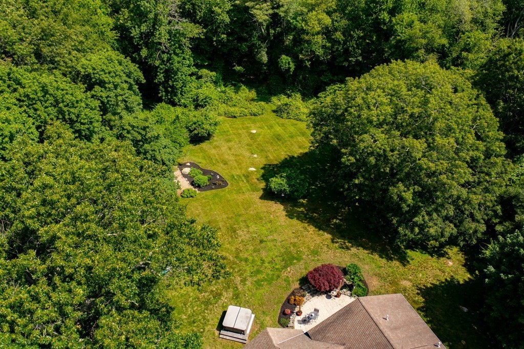 79 North Street Hanover, MA 02339 - Photo 35 of 42 a view of a garden with plants and large trees