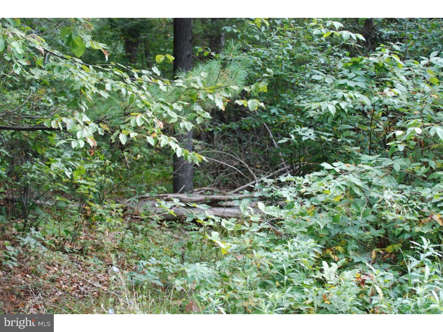 Lot 8 Millhead Road Andreas, PA 18211 - Photo 1 of 8 Gallery Image 1