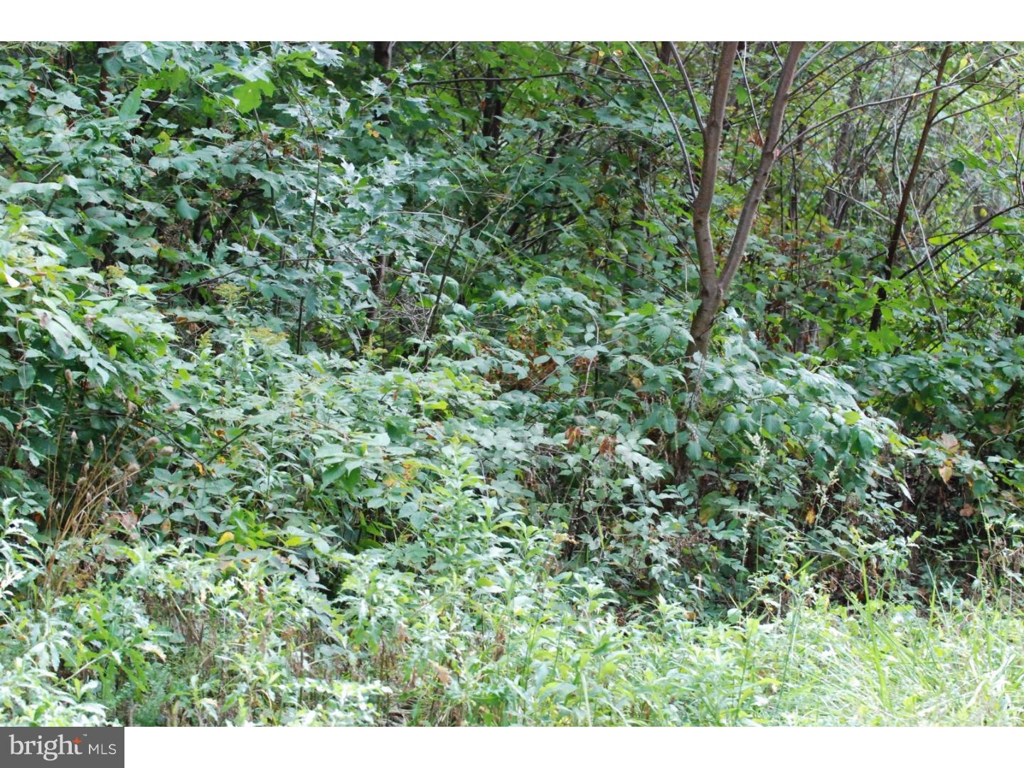 Lot 8 Millhead Road Andreas, PA 18211 - Photo 2 of 8 Gallery Image 2