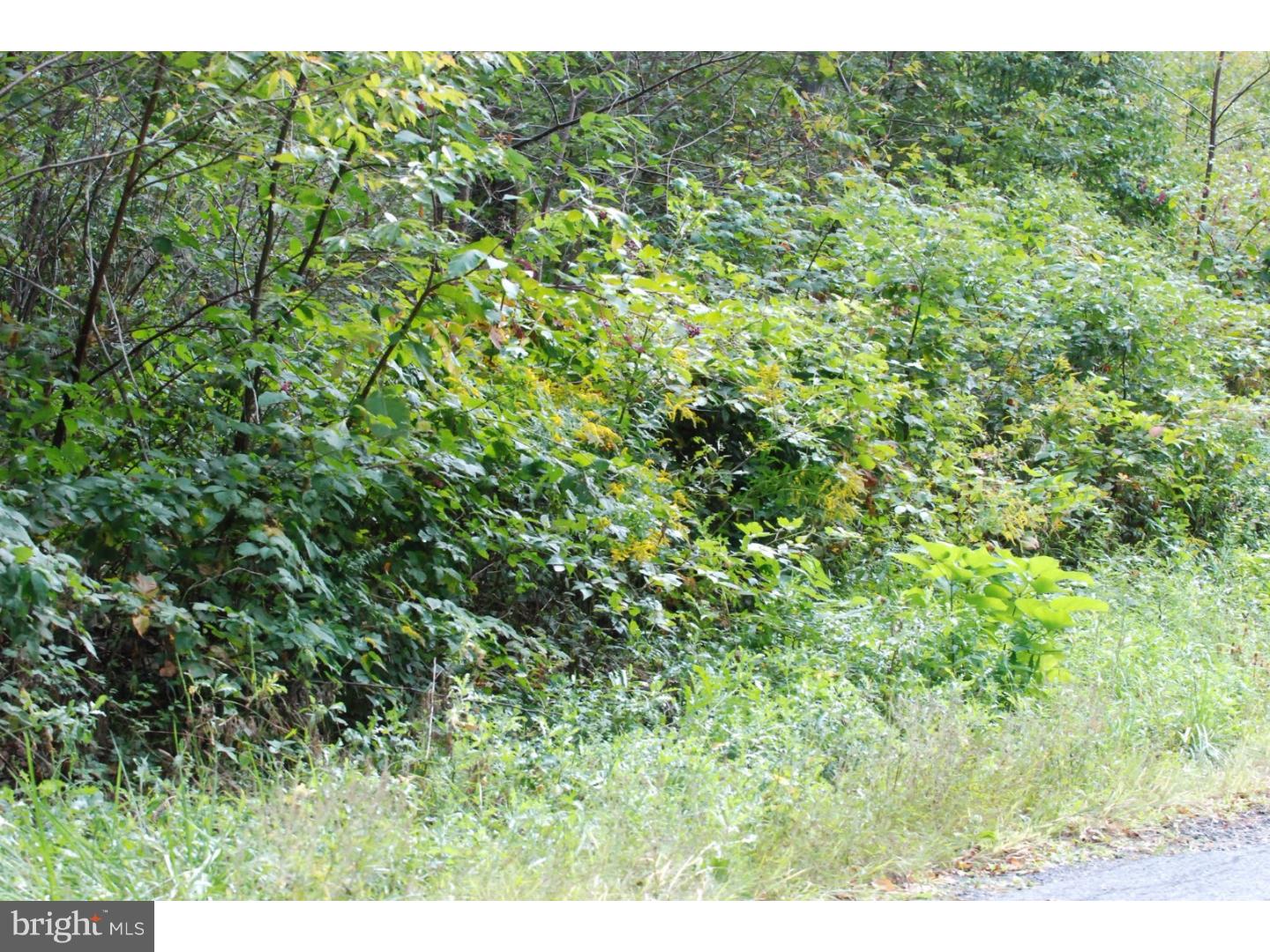 Lot 8 Millhead Road Andreas, PA 18211 - Photo 3 of 8 Gallery Image 3