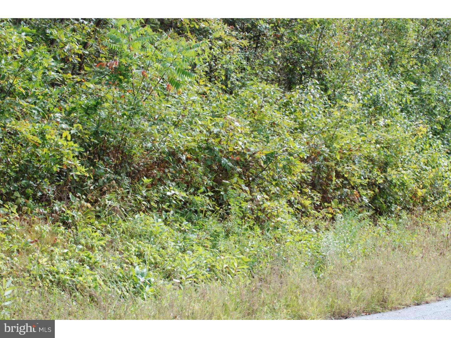 Lot 8 Millhead Road Andreas, PA 18211 - Photo 6 of 8 Gallery Image 6
