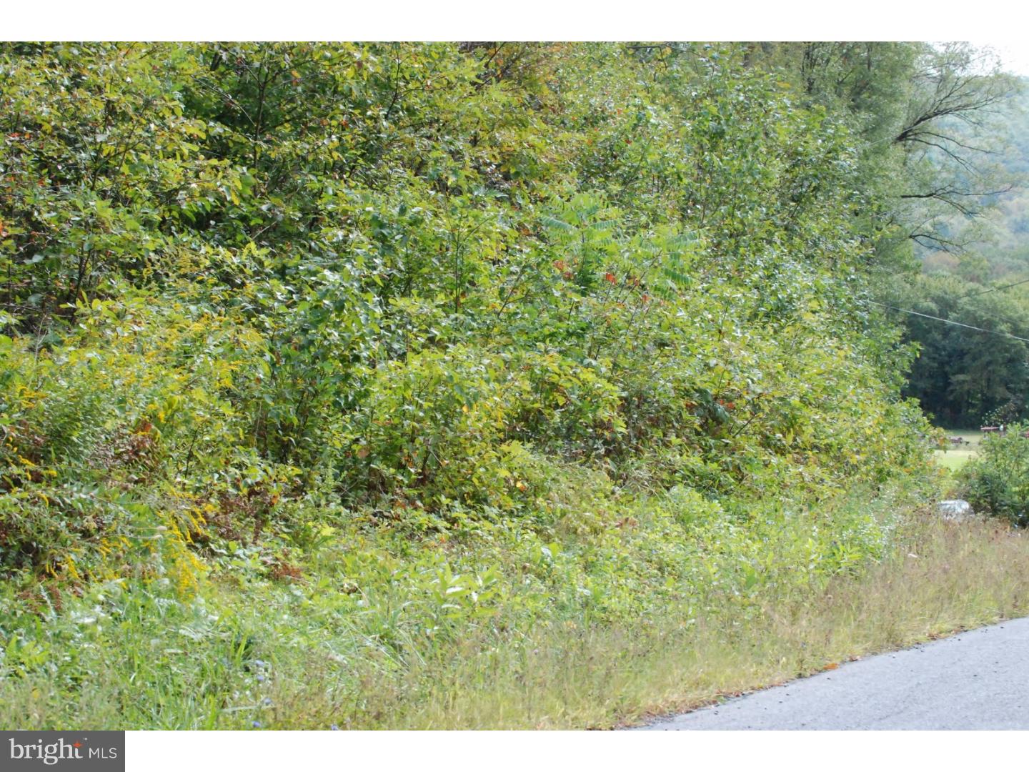 Lot 8 Millhead Road Andreas, PA 18211 - Photo 7 of 8 Gallery Image 7
