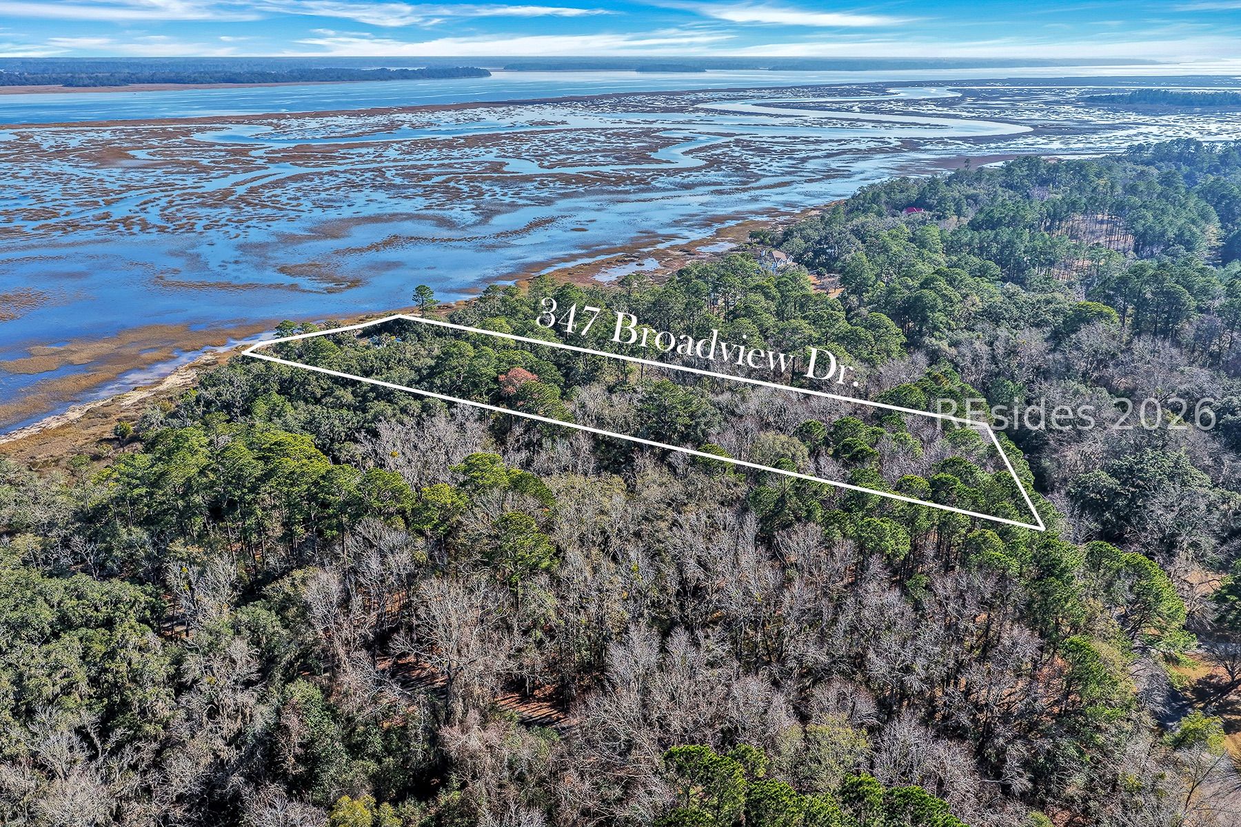 347 Broadview Drive Ridgeland, SC 29936 - Photo 77 of 100 Side View Arial