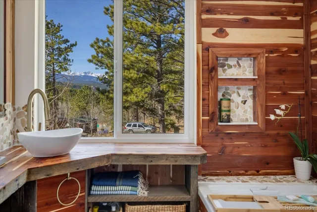 a bathroom with a sink and a shower