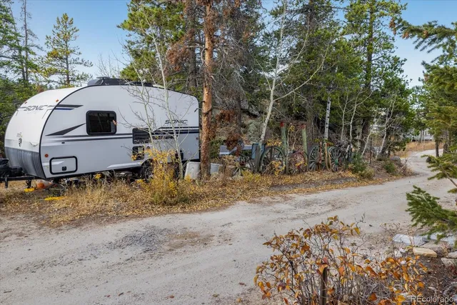 a view of a tree with a tree