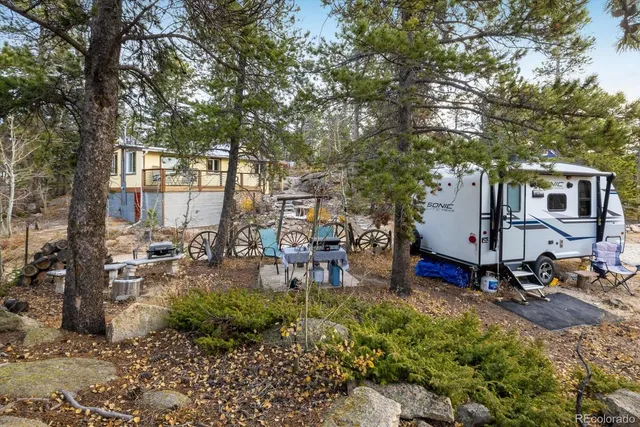 a view of a flower in a garden