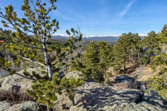 a view of a city with a mountain in the background
