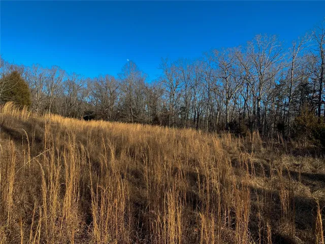 $703,800 | 0 Polston Lane, Marthasville, MO 63357